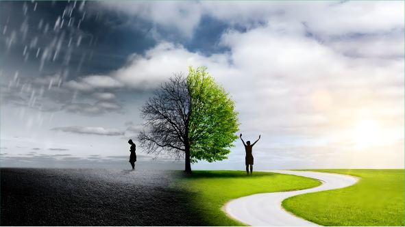 Online ve Yüzyüze Seanslar